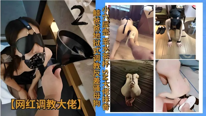 【网红调教大佬】小穴尿壶圣水茶杯SM大佬抹香鲸爸爸地狱式调教反差骚母狗