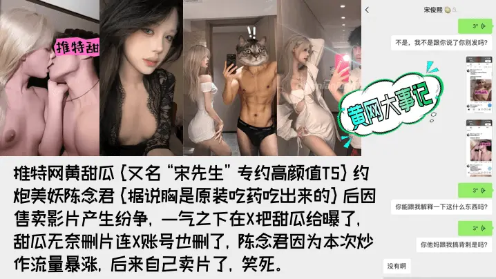推特网黄甜瓜《又名“宋先生”专约高颜值TS》约炮美妖陈念君
